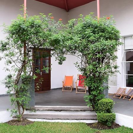 La Casa De Las Magnolias Coyoacan Ngoại thất bức ảnh