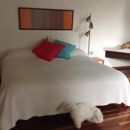 La Casa De Las Magnolias Coyoacan Ngoại thất bức ảnh