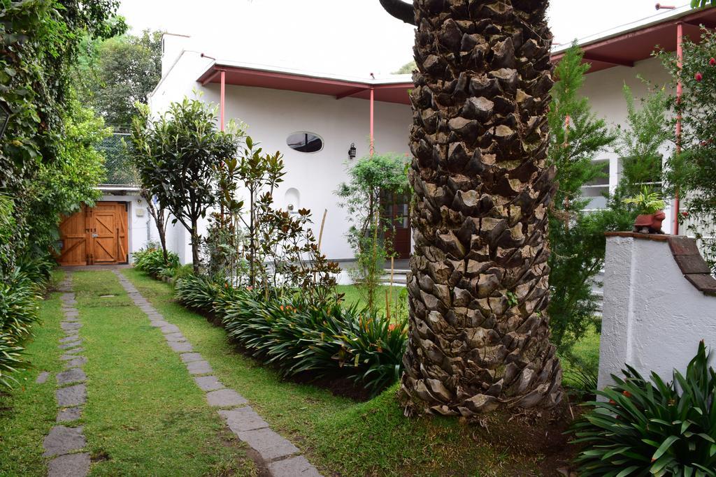 La Casa De Las Magnolias Coyoacan Ngoại thất bức ảnh