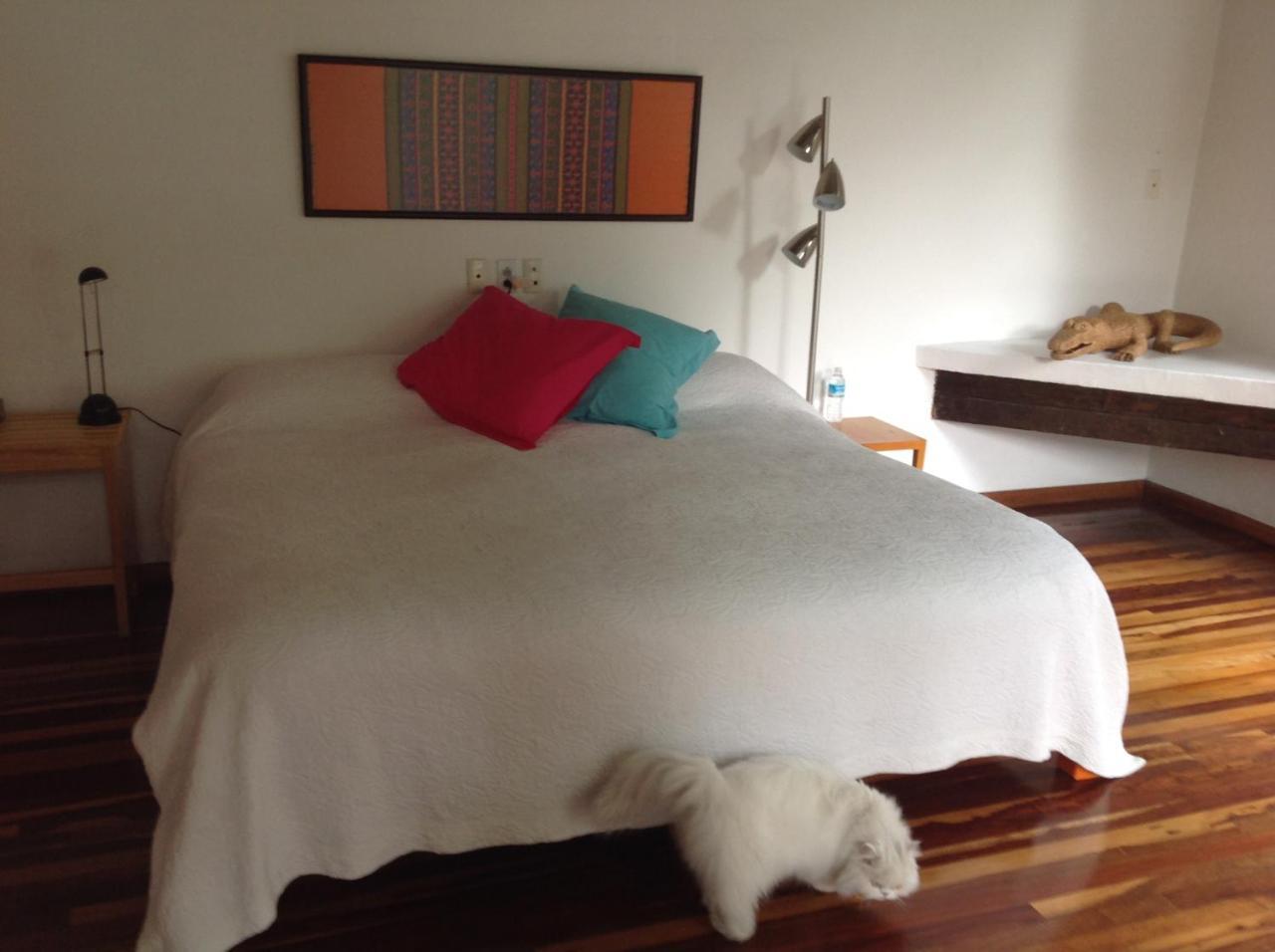 La Casa De Las Magnolias Coyoacan Ngoại thất bức ảnh